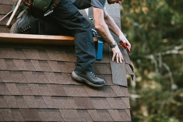 Quick and Trustworthy Emergency Roof Repair Services in Avonia, PA